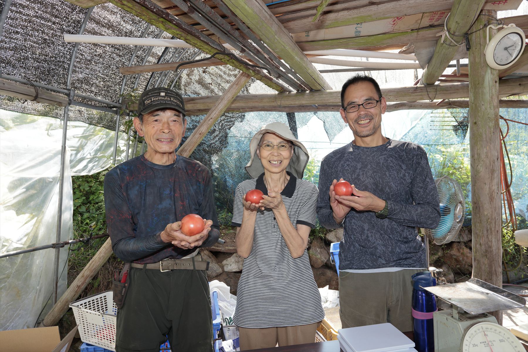 家族で育む、遊子川の絶品トマト！辻本農園さんを訪ねてきました！