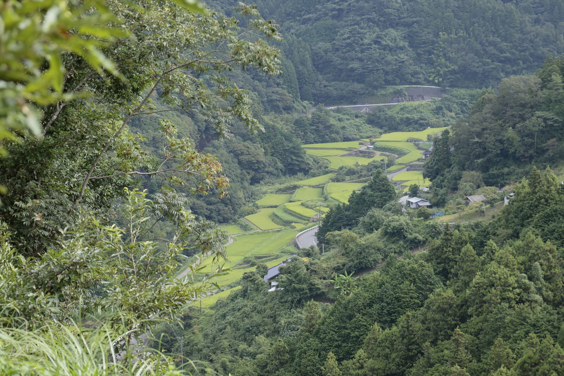 愛媛大学生の視点で地域を元気に！地域体験メニュー開発プロジェクトが始動しました！