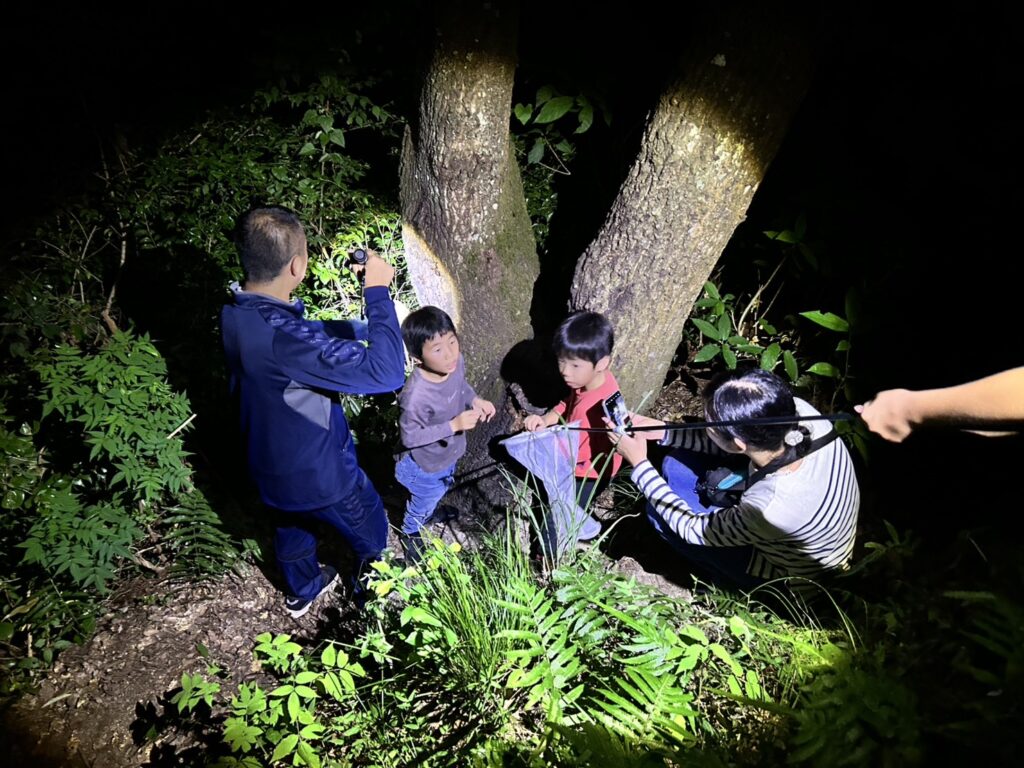 遊子川の昆虫採集