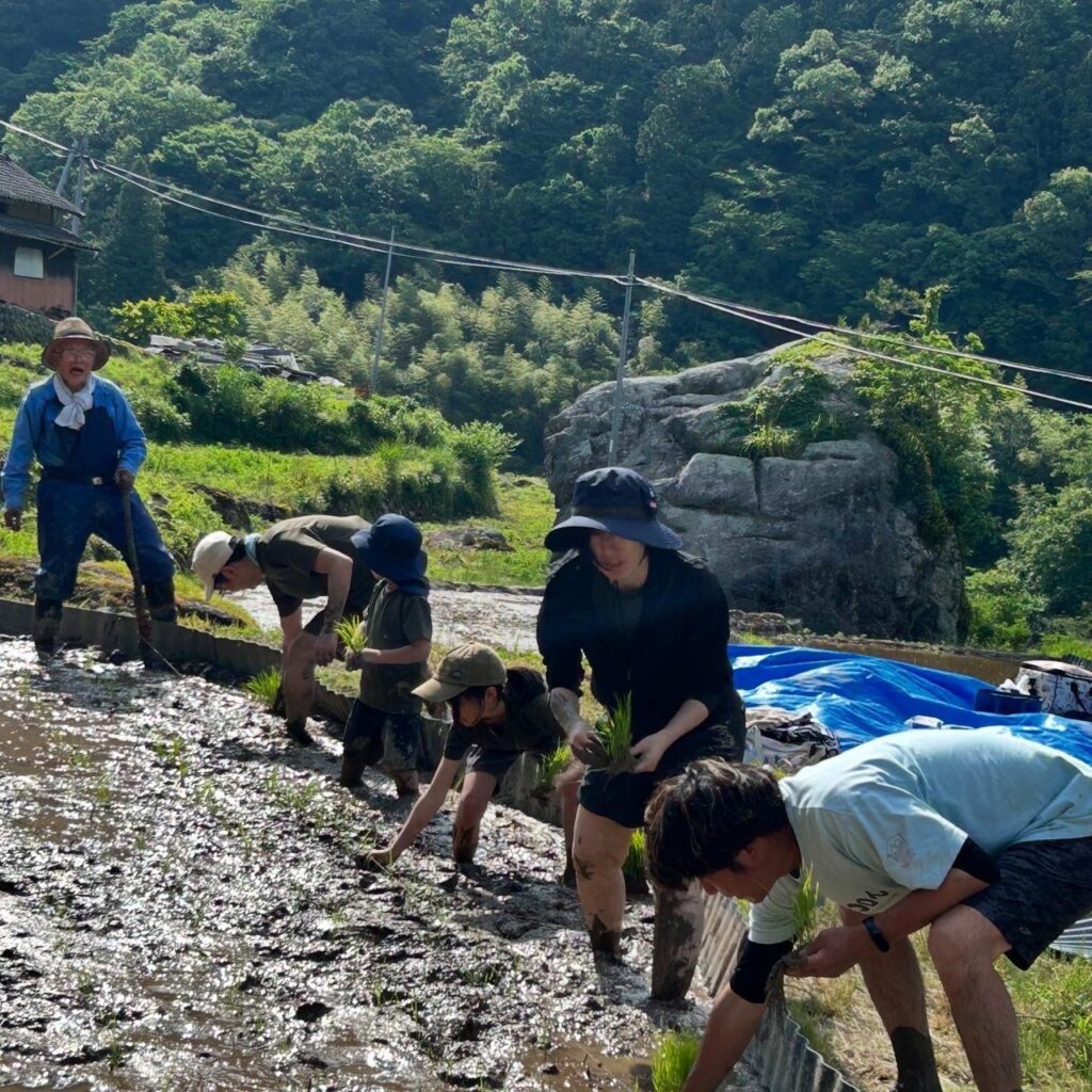 遊子川の田植え体験